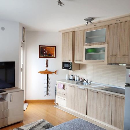 Apartman Lux Sneznik Vrnjačka Banja エクステリア 写真