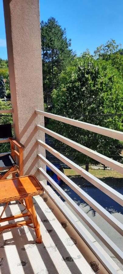 Apartman Lux Sneznik Vrnjačka Banja エクステリア 写真