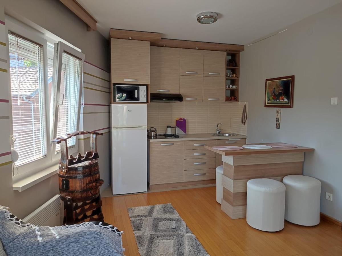 Apartman Lux Sneznik Vrnjačka Banja エクステリア 写真