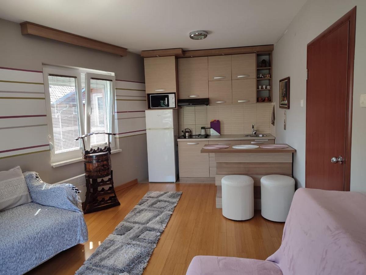 Apartman Lux Sneznik Vrnjačka Banja エクステリア 写真