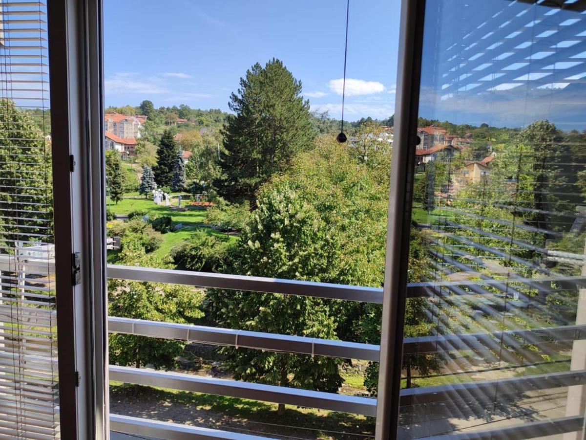 Apartman Lux Sneznik Vrnjačka Banja エクステリア 写真